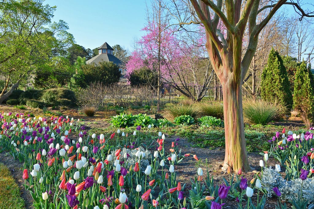 Entrance-garden-late-winter-2017-1024x683
